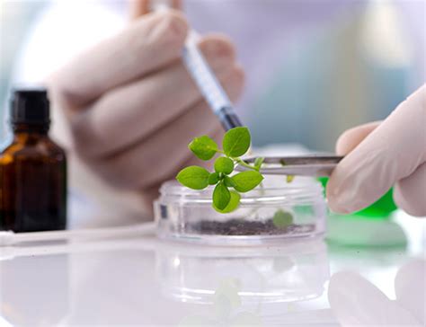 Biotechnology In India, Biotech Companies In India | IBEF