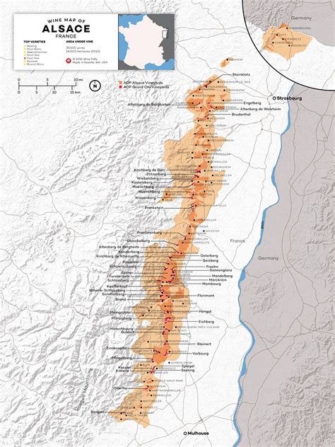 Understanding Alsace Wine (w/ Maps) | Wine Folly