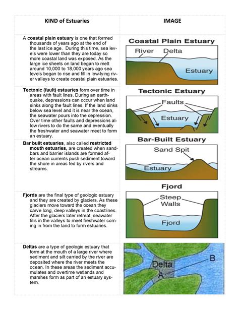 Estuary Formation Diagram