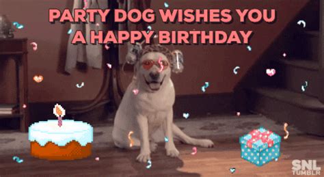 [Get 45+] Download Happy Birthday Gif Funny Dog Background PNG