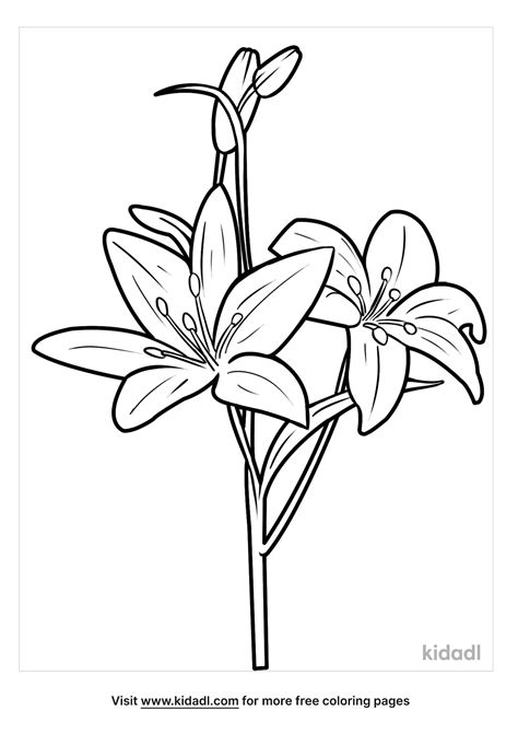 Free Lily Coloring Page | Coloring Page Printables | Kidadl