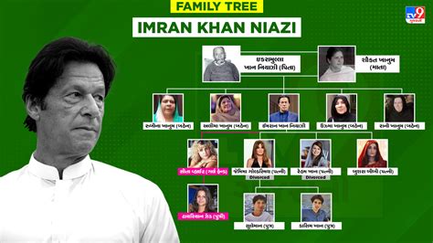 Imran Khan Family Tree : ઈમરાન ખાનના પરિવારમાં છે ત્રણ પત્ની, 4 બહેન ...