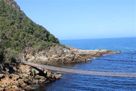 Visit The Famous Tsitsikamma Suspension Bridge At Storms River (2024 ...