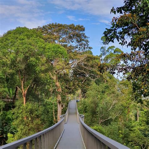 This Beautiful 130-Million-Year-Old Malaysian Rainforest Is The Perfect ...