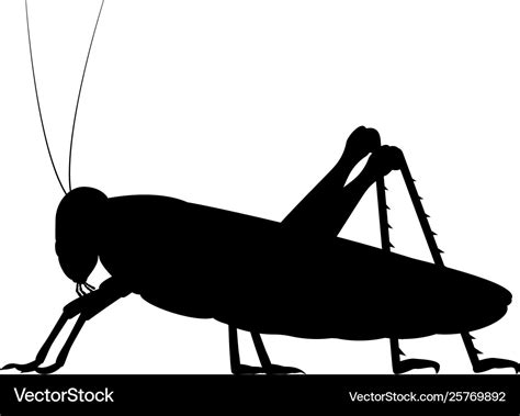 Black silhouette a grasshopper Royalty Free Vector Image