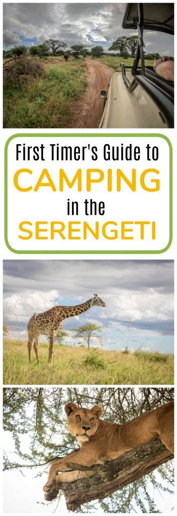 First Timer's Guide to Camping in the Serengeti - The Wanderlust Kitchen