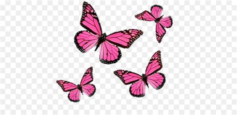 clipart pink butterfly - Clip Art Library