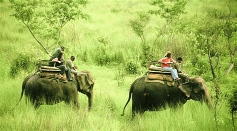 Jungle Safari in Nepal | Wildlife Safari Trips in Nepal