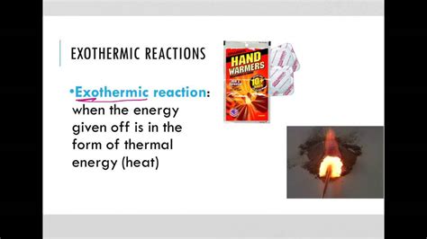 Exergonic And Endergonic Reactions