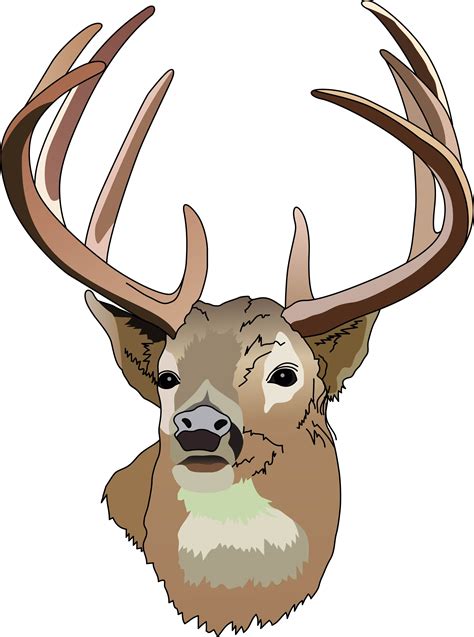 Deer hunting clipart free clipart images – Clipartix