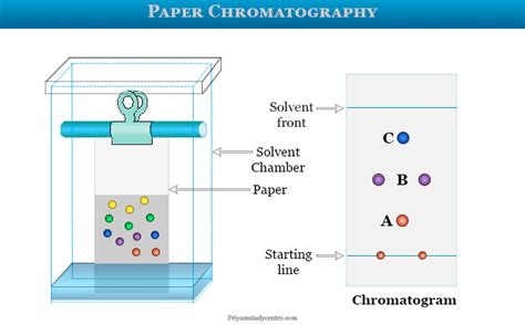 Paper Chromatography Diagram