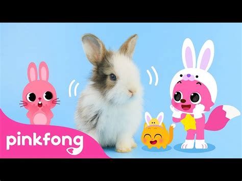 Baby Rabbits Jump! | Cute Rabbit Song | Baby Animals Song | Pinkfong ...