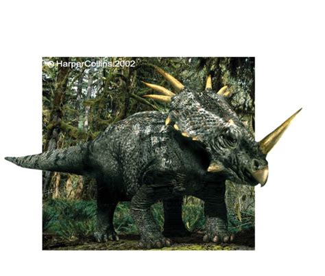 Styracosaurus Pictures & Facts - The Dinosaur Database