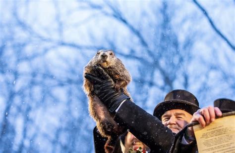 Budget Travel | Visit the Home of Punxsutawney Phil for Groundhog Day