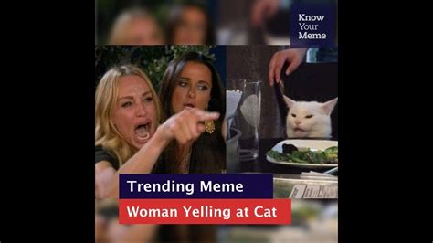 Yelling Woman Cat Meme Generator