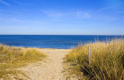 Norfolk City Beaches - Norfolk, VA | Pet Friendly Travel