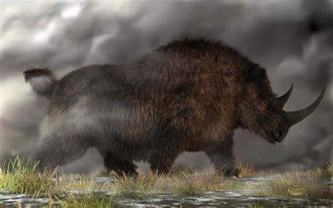 Woolly Rhinoceros by deskridge on DeviantArt