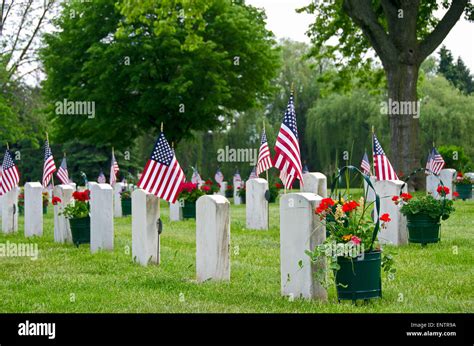 American flags on veteran's graves in cemetery Stock Photo - Alamy