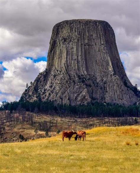 Rock Climbing Devils Tower With a Guide | 57hours