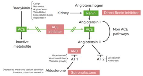 Aldosterone Antagonist, MCRA: Heart Failure Pharmacology