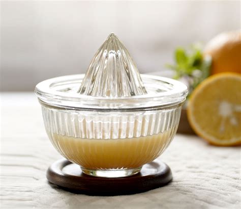 Buy Raasa Glass Citrus Juicer Online in India at Best Price - Modern ...