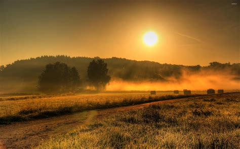 Misty sunrise wallpaper - Nature wallpapers - #23240