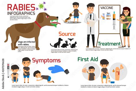 Stockvector Rabies Infographics. Illustration of rabies describing ...