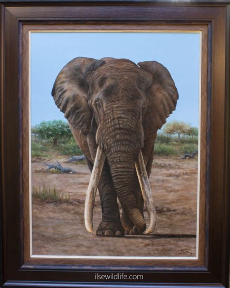 Elephant Paintings | Wildlife Paintings by Ilse de Villiers | Real Africa