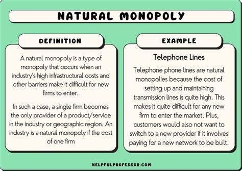 10 Natural Monopoly Examples (2024)