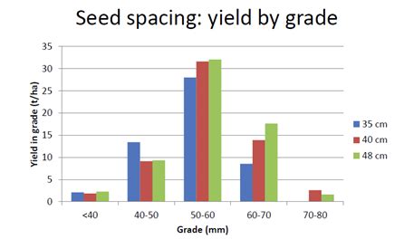 Seed potatoes spacing | AHDB