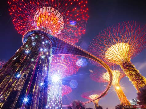 - Supertrees at night, Gardens by the Bay, Singapore | Royalty Free Image