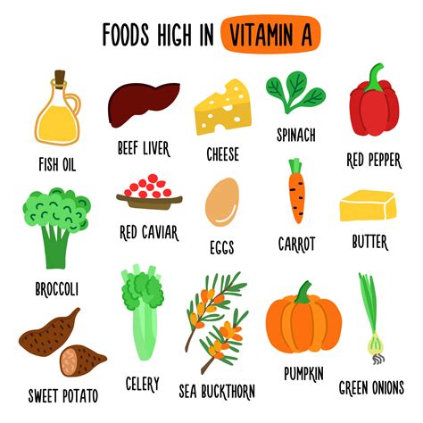 Foods High in vitamin A. Vector illustration with healthy foods rich in ...