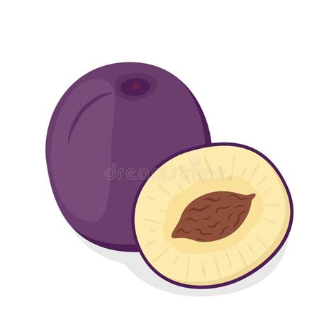 Whole, Half of Ripe Purple Plum. Cartoon Style. Vector Illustration ...