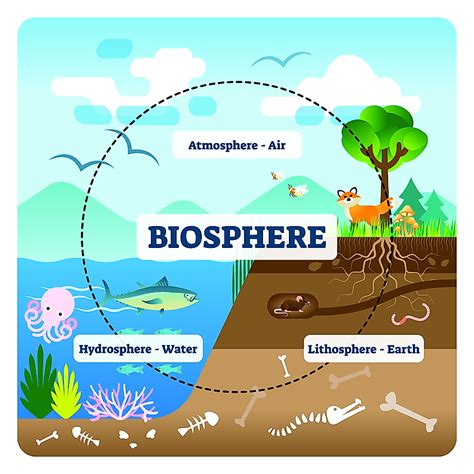 What Is The Biosphere? - WorldAtlas