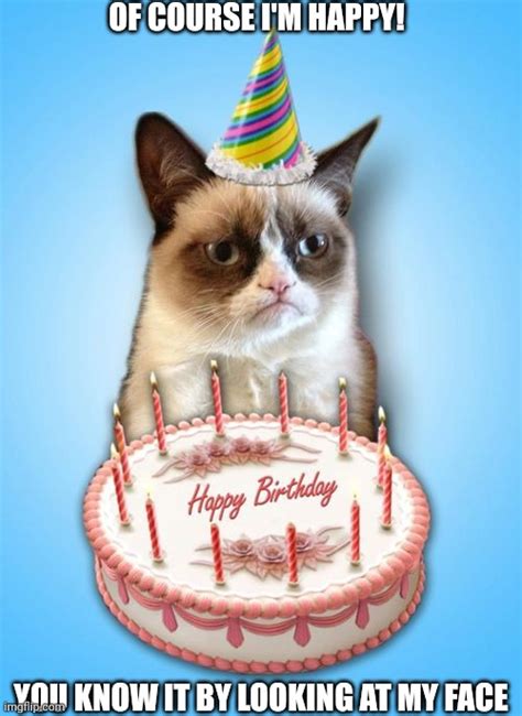 Grumpy B39day Happy Birthday Animals Grumpy Cat Birthday