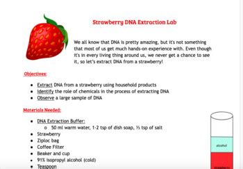 Strawberry DNA Extraction Lab by Kidwai Classroom | TPT