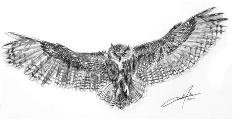 Flying Owl Sketch at PaintingValley.com | Explore collection of Flying ...