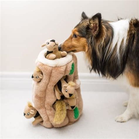 10 Best Toys To Keep Your Dog Busy Indoors | Dog Toys Advisor