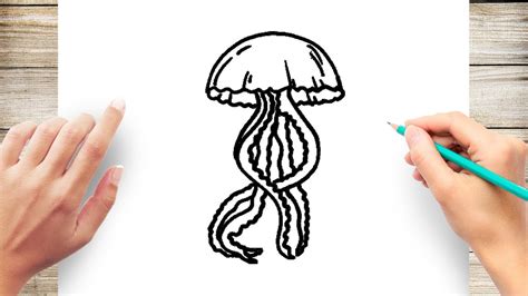 How To Draw Jelly Fish For Kids - How to draw animals for kids.