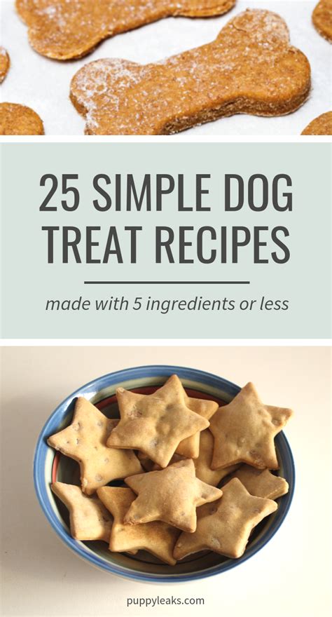 Easy Diabetic Dog Treat Recipes | Besto Blog