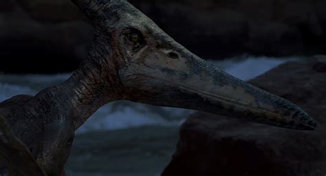 Pteranodon (Jurassic Park 3) | Antagonists Wiki | Fandom