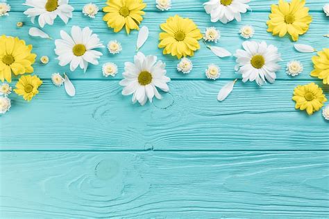 HD wallpaper: flowers, chamomile, yellow, white, wood, blue, blue ...