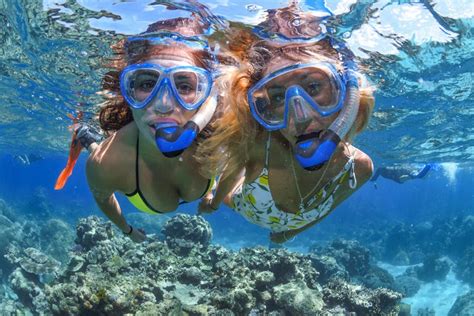 Down Under Cruise and Dive | Cairns & Great Barrier Reef