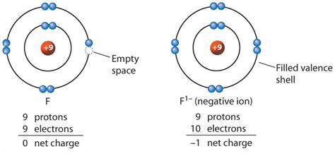 Which ion has the most shells that contain electrons?? | Socratic