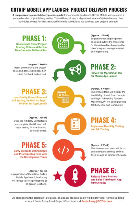 Company App Project Delivery Process Infographic Template