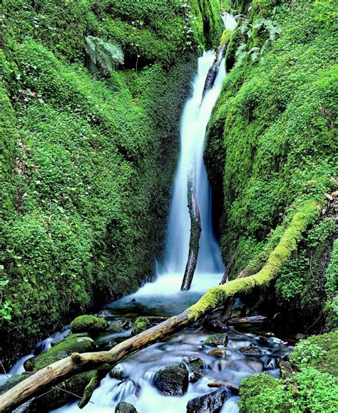 Six Scottish waterfall paradises | National Trust for Scotland