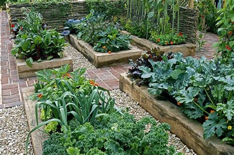 25 Incredible Vegetable Garden Ideas | Trees.com