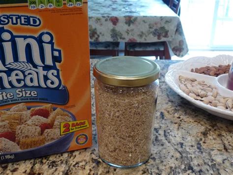 Frosted Mini Wheats Recipes | Besto Blog