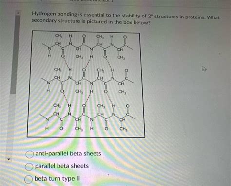 Solved Hydrogen bonding is essential to the stability of 2∘ | Chegg.com