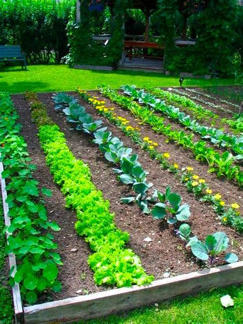 Raised Vegetable Garden Ideas And Designs could also be another means ...